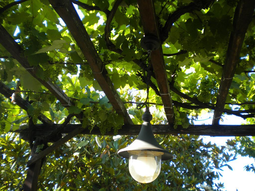 Marelmy Villa Mourésion Buitenkant foto
