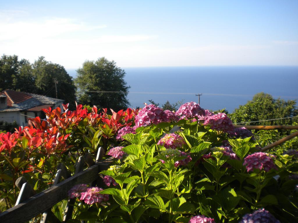 Marelmy Villa Mourésion Buitenkant foto